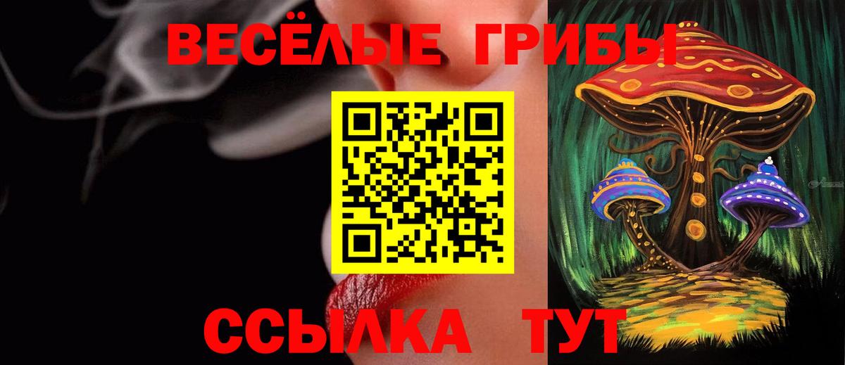 Псилоцибиновые грибы GOLDEN TEACHER Осинники