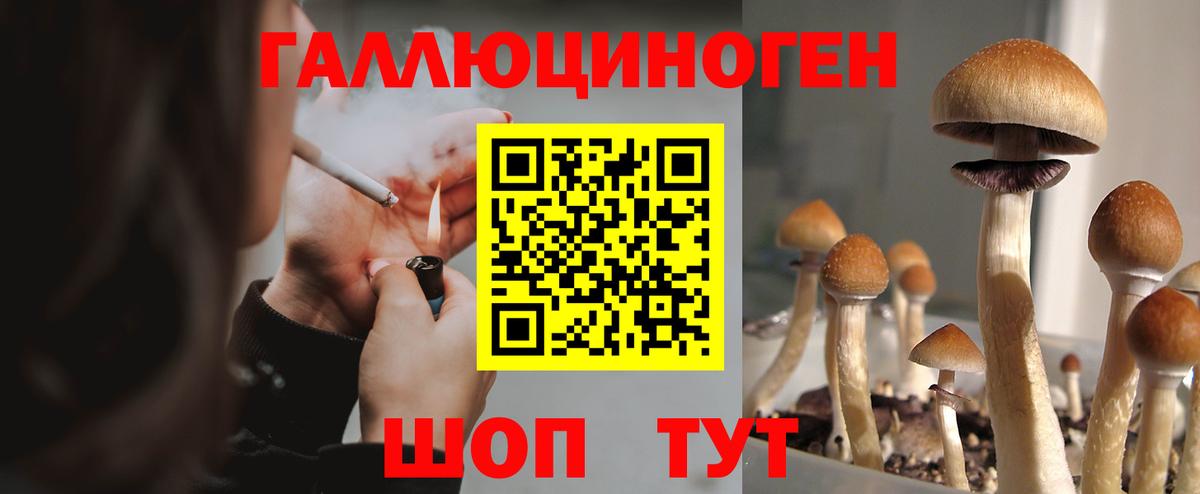 Осинники  Псилоцибиновые грибы Cubensis  как найти закладки  Вход с VPN  Галлюциногенные грибы Cubensis 