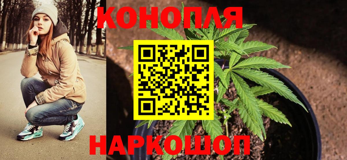 Бошки марихуана план  Шишки марихуана MAZAR  Конопля марихуана  Осинники  Каннабис тримм  Вход с VPN 